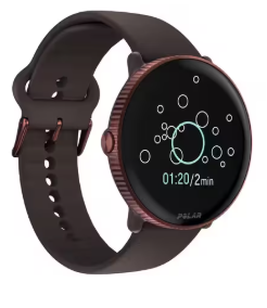 Montre Connectée De Fitness - Gps, Suivi De Sommeil - Polar Ignite 3 Titanium Bronze